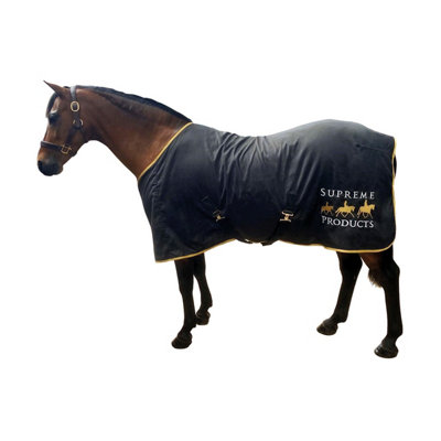Supreme Products Horse Exercise Sheet Black/Gold (6) Price Comparisons | Compare The Build