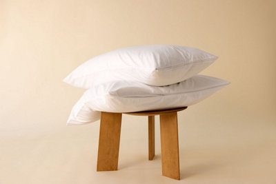 Surrey Down Goose Feather & Down Continental Pillow