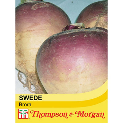 Swede Brora 1 Packet (750 Seeds)