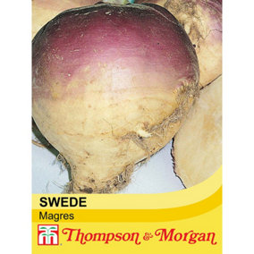 Swede Magres 1 Seed Packet (500 Seeds)