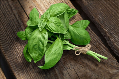 Sweet Basil Herb Seeds (Approx. 220 seeds) by Jamieson Brothers