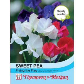 Sweet Pea Flying The Flag 1 Seed Packet (20 Seeds)