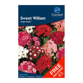 Sweet William Single (Dianthus barbatus) Grow Your Own Seeds