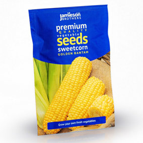 Sweetcorn Golden Bantam Vegetable Seeds (Approx. 18 seeds) by Jamieson Brothers