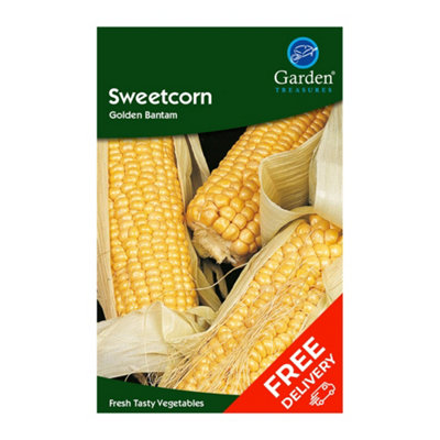 Sweetcorn Golden Bantam (Zea mais)