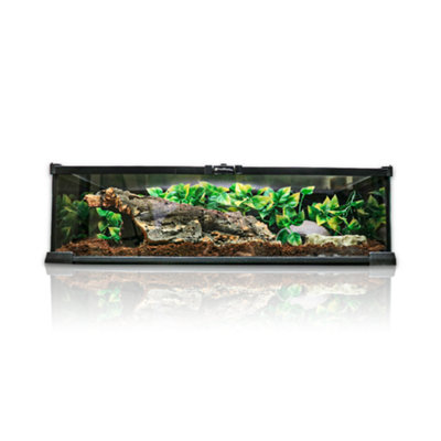 Swell Reptiles Glass Terrainium 50 x 30 x 15cm | DIY at B&Q