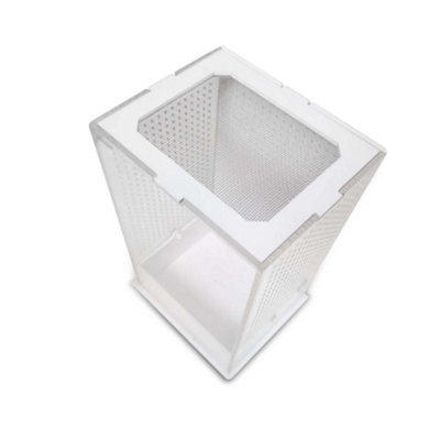 Swell Reptiles Mantis Display Box