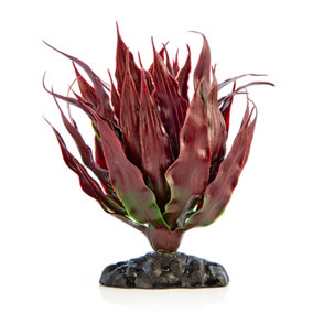 Swell Reptiles Red Cactus Plant