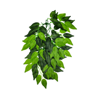 Swell Reptiles Trailing Ficus 40cm