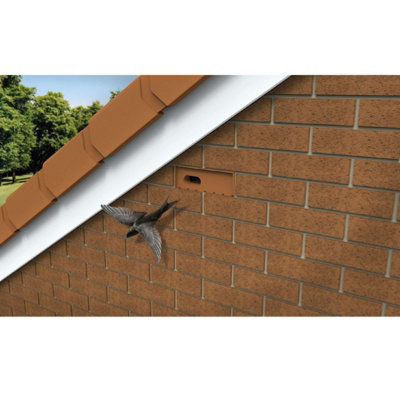 Swift Nesting Brick Box, Buff Breeding Bird House for Brick or Rendered ...