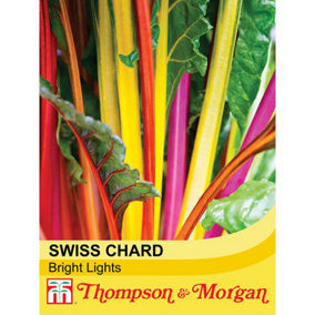 Swiss Chard (Leaf Beet) Bright Lights 1 Seed Packet (80 Seeds)