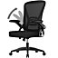 Swivel Computer Chair Home Office Chair with Flip Up Armrests, Breathable Mesh(Black)