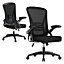 Swivel Computer Chair Home Office Chair with Flip Up Armrests, Breathable Mesh(Black)