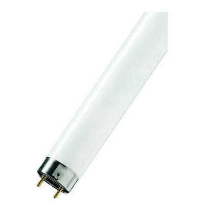 6ft fluorescent outlet bulbs