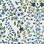 Symmetrical Trellis Ditsy Floral Creme Wallpaper