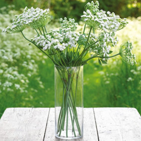 Tall Cylinder Glass Vase - Clear Modern Style Vase for Fresh or Artificial Flower Stem Bouquet Arrangements - Measures 40 x 15cm