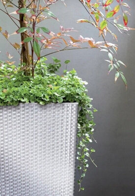 Tall Planter Plant Flower Pot Outdoor Garden Weatherproof with Insert Rattan White 61cm - 4