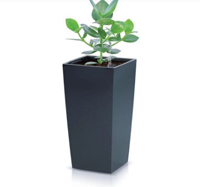 Tall Planter Plant Pot Flower with Insert Indoor Outdoor Garden Patio Home Large Anthracite H50cm W26.5cm - 4