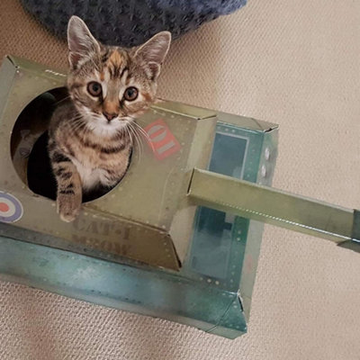 Tank Cat House Cardboard Kitten Toys & Cat Bed