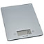 Taylor Pro Pewter Measuring scale