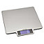 Taylor Pro Stainless Steel Measuring scale
