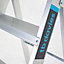 TB Davies 10 Tread HDUTY-S Aluminium Professional Swingback (2.36m) Step