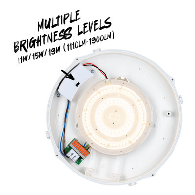 TCP Microwave Sensor Bulkhead Indoor/Outdoor Wall & Ceiling Light For Commercial and Residential Use (IP65)