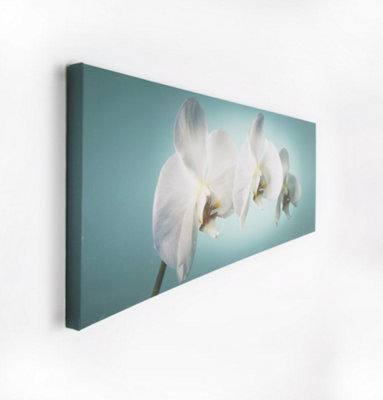 Teal Orchid Printed Canvas Floral Wall Art