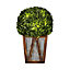 Teamson Home 2-in-1 Garden Light & Artificial Plant with Farmhouse Wooden Plant Pot, Solar Powered - 29.2 x 29.2 x 46.4 (cm)