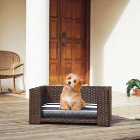 Teamson Pets Clotho Indoor Outdoor Rattan Cat or Small Dog Elevated Bed Lounger with Removeable Washable Cushion