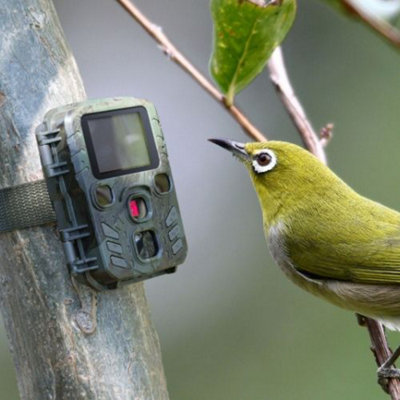 Technaxx Mini Nature Wild Cam TX-117