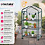 tectake Mobile greenhouse w/ 3 shelves (69 x 49 x 125 cm) - mini greenhouse small greenhouse - transparent