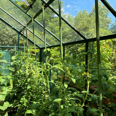 Telescopic Extendable Tomato, Cucumber & Climbing Plant Support Stakes - Heavy Duty Rods, Pk 12