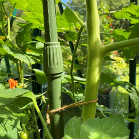 Telescopic Extendable Tomato, Cucumber, Squash & Climbing Plant Support Stakes - Heavy Duty Rods, Pk 12