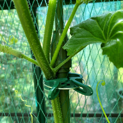 Telescopic Extendable Tomato, Cucumber, Squash & Climbing Plant Support ...