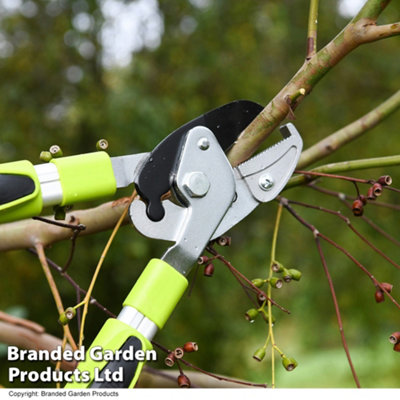 Telescopic Long Reach Anvil Lopper, Precise Cutting, Lightweight Extendable Reach up to 98cm, Comfort Grip Handles Garden Gear