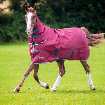 Tempest Original 200 Combo Neck Horse Turnout Rug Maroon (4 9") Price Comparisons | Compare The Build
