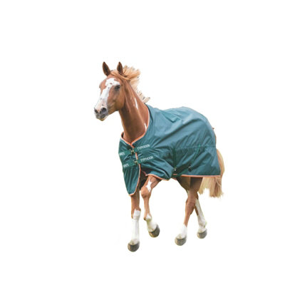 Tempest Typhoon Lite Horse Turnout Rug Green (4) Price Comparisons | Compare The Build