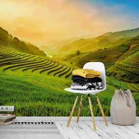 Terraced Rice Field In Vietnam - 384x260 - 5032-8