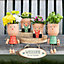 Terracotta Lady Plant Pot. Indoor or Outdoor Use. Size Small (Dia) 11 cm