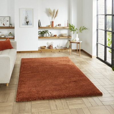 Terracotta Plain Shaggy 45mm Pile Rug, Stain-Resistant Modern Rug for Bedroom, Dining Room, & Living Room-80cm X 150cm