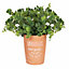 Terracotta Plant Pot With Grandad's Herb Garden Text