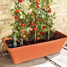 Terracotta Style Self-Watering Tomato or Veg Garden Planter - Holds 4L of Water & 10L of Compost - Small, H19.5 x W60 x D17cm