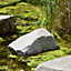 Tetra Pond AlgoFin 250ml Blanketweed Algaecide