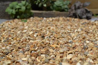 Thames Valley Flint Chippings 20kg Bag Pallet of 49 - 3