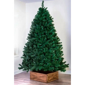 The 10ft Arbor Vitae Fir Tree with hook-on branches