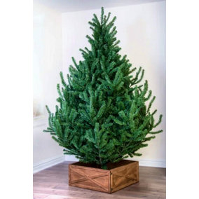 The 5ft Mountain Pine Tree with hinged branches