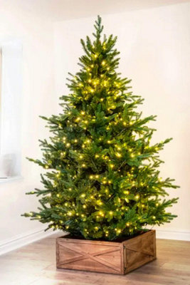 The 8ft Pre-lit Ultra Mountain Pine