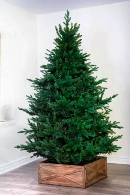 The 8ft Ultra Mountain Pine with hinged branches Price Comparisons | Compare The Build