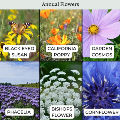 The Bees Knees Wildflower Seeds 100g (50m²) - 4